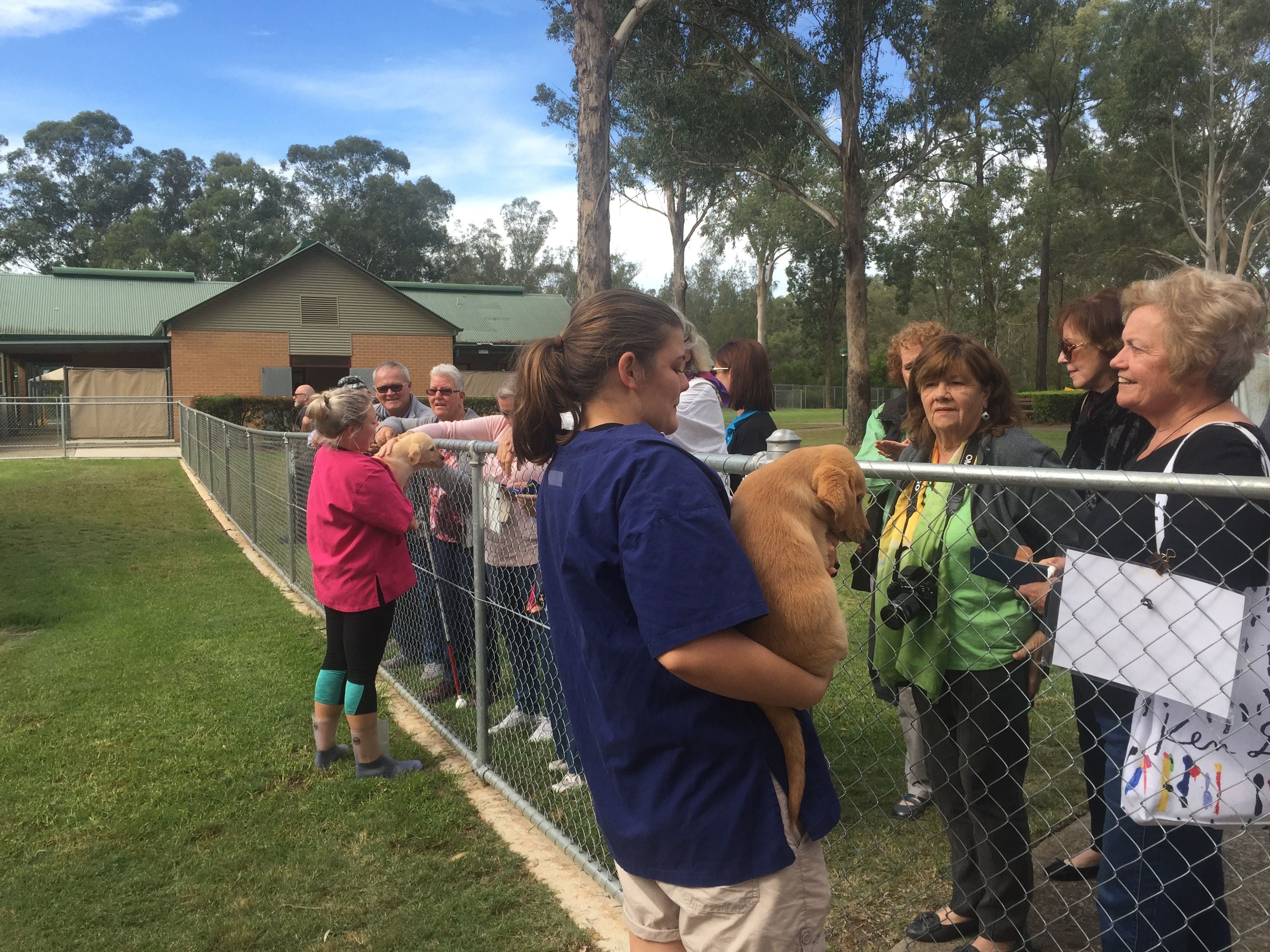 Guide Dogs NSW Day Tour Image -5b1625e566e5d